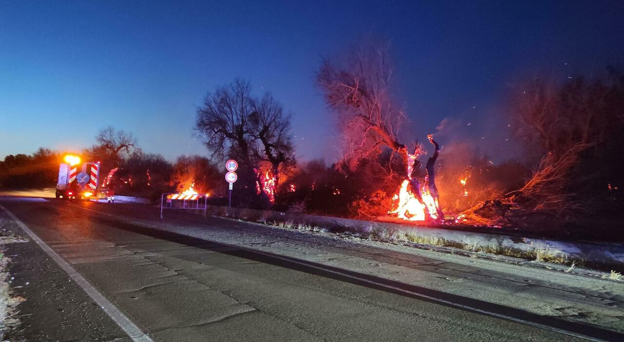 salento scoppia l incendio paura in paese da Quotidianodipuglia.it salento scoppia l incendio paura in paese