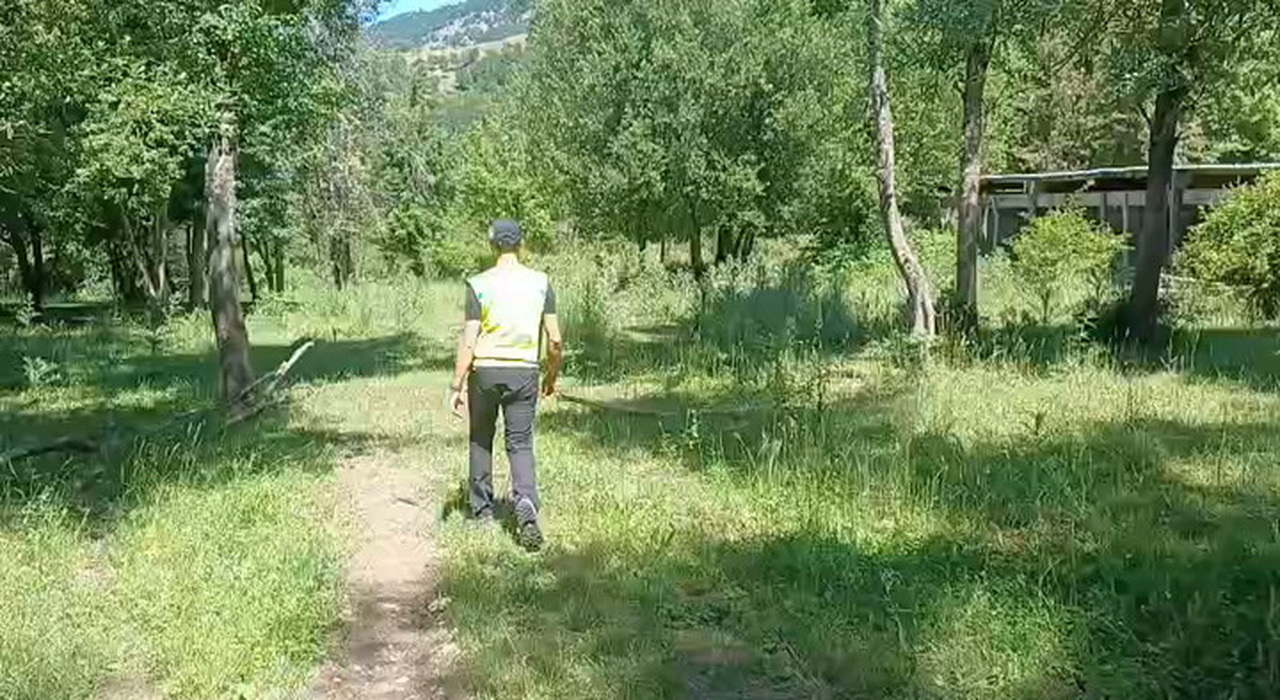 https://statics.cedscdn.it/photos/MED_HIGH/2026/06/20/9604254_poster.jpg