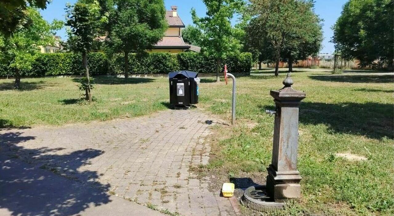 anziano pestato a sangue mentre fa una passeggiata tre costole rotte e il viso tumefatto l aggressore bloccato dai carabinieri da Ilgazzettino.it anziano pestato a sangue mentre fa una passeggiata tre costole rotte e il viso tumefatto l aggressore bloccato dai carabinieri