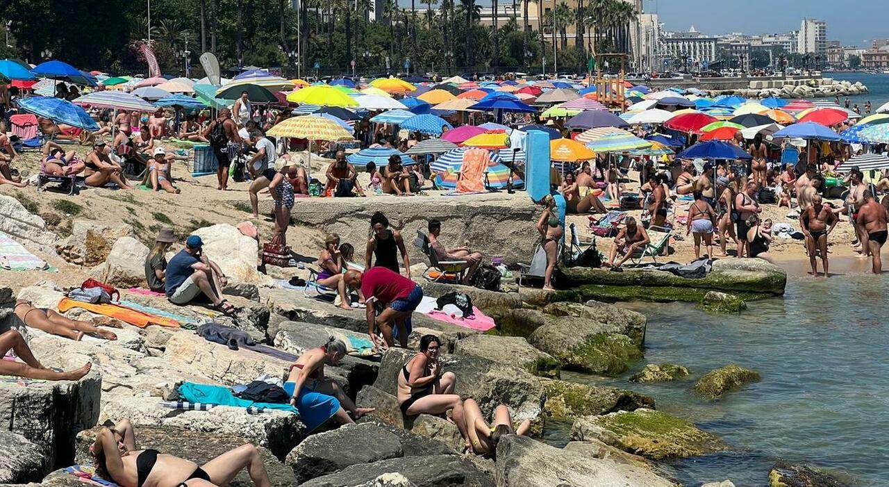 bari record a pane e pomodoro 8mila bagnanti in spiaggia circa il 60 sono turisti stranieri da Quotidianodipuglia.it bari record a pane e pomodoro 8mila bagnanti in spiaggia circa il 60 sono turisti stranieri