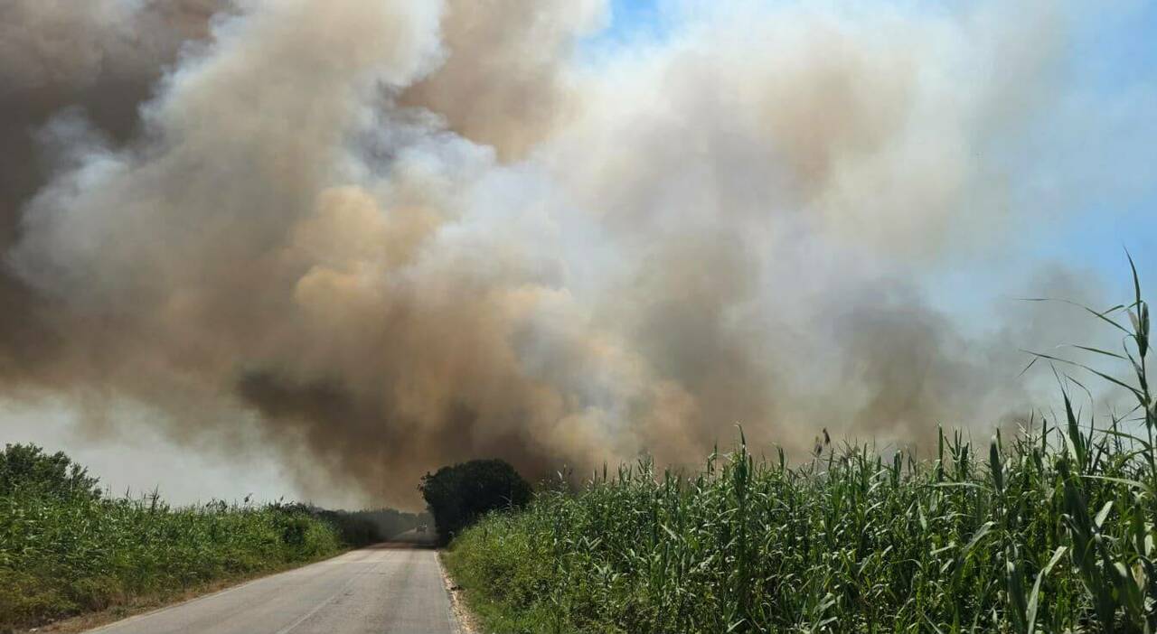 maxi incendio alla palude del conte fuoco e fumo tra torre colimena e punta prosciutto da Quotidianodipuglia.it maxi incendio alla palude del conte fuoco e fumo tra torre colimena e punta prosciutto