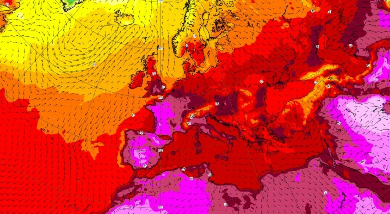 caldo record domani bollino rosso in 15 citt224 quando arriva il picco di afa e quanto durer224 da Ilmessaggero.it caldo record domani bollino rosso in 15 citt224 quando arriva il picco di afa e quanto durer224