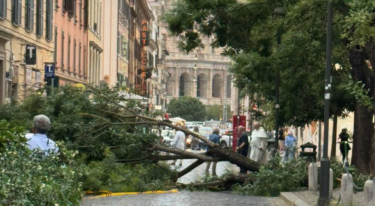 tempesta a roma alberi caduti dal colosseo all ostiense un ferito sulla tiburtina 50 interventi della polizia locale per il vento forte da Ilmessaggero.it tempesta a roma alberi caduti dal colosseo all ostiense un ferito sulla tiburtina 50 interventi della polizia locale per il vento forte