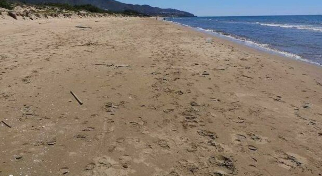 https://statics.cedscdn.it/photos/MED_HIGH/2026/06/23/9609282_23070921_spiaggia_lido_adriano_uomo_molestie_denuncia_donna_oggi.jpg