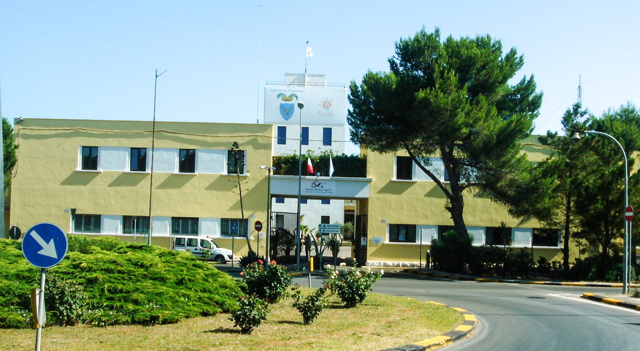 santa teresa in piena crisi perdite stimate per 738mila euro la provincia cerca un successore per aresta da Quotidianodipuglia.it santa teresa in piena crisi perdite stimate per 738mila euro la provincia cerca un successore per aresta