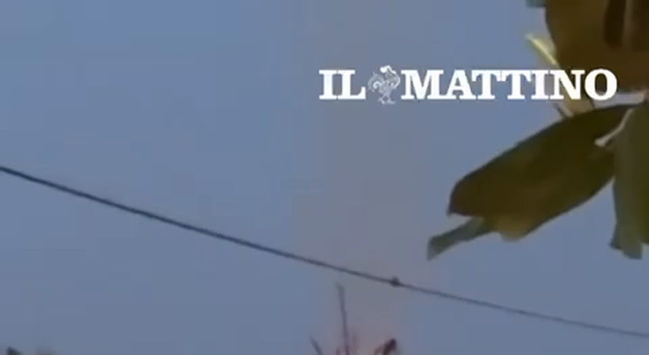 https://statics.cedscdn.it/photos/MED_HIGH/2026/06/24/9612380_poster.jpg