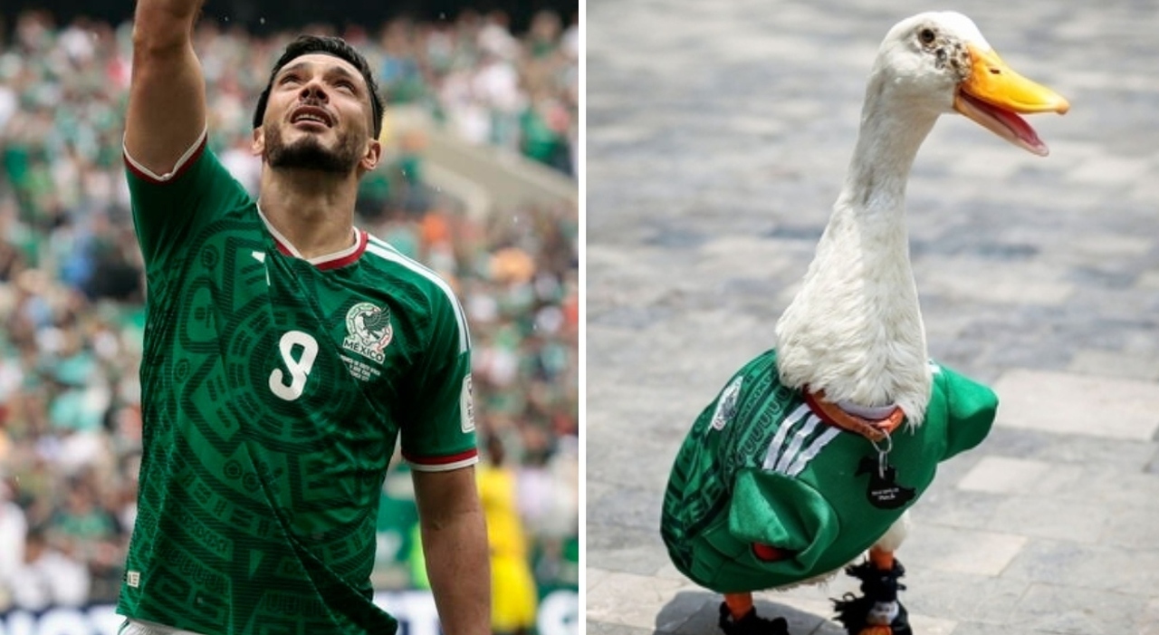 Mondiali 2026: la FIFA vieta gli animali negli stadi, fuori l'anatra Merlín