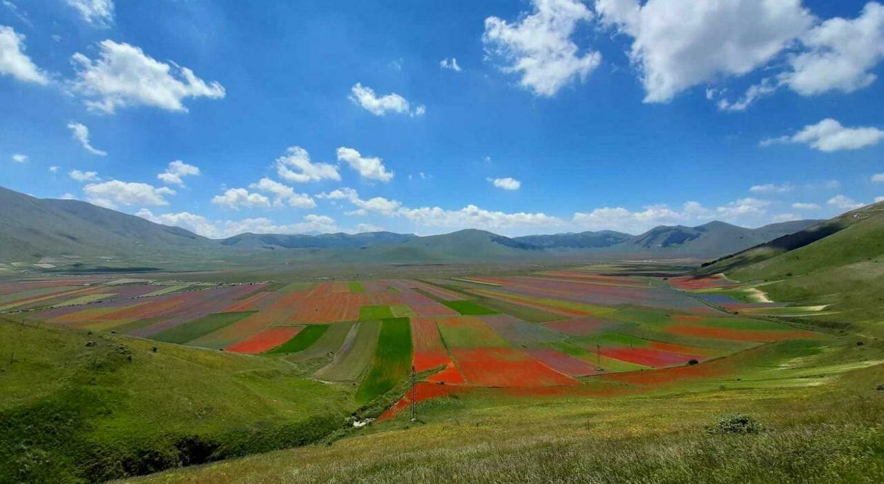 Visitatori e servizi di mobilità per raggiungere i Piani di Castelluccio