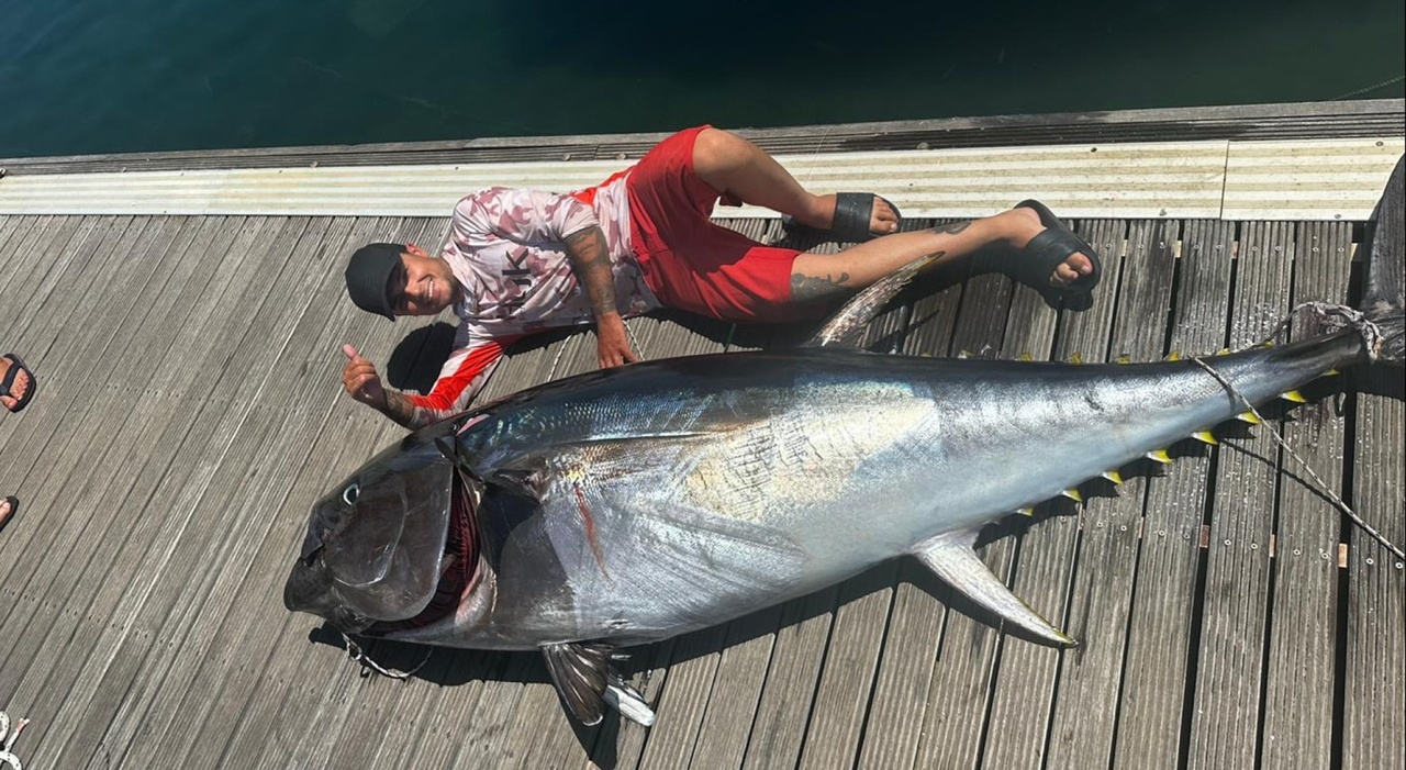 https://statics.cedscdn.it/photos/MED_HIGH/2026/06/26/9616424_25124420_un_tonno_da_168_kg_pescato_in_sardegna_il_record_del_barbiere_pescatore_per_hobby_federico_donedd_wide_site_mppzb.jpg