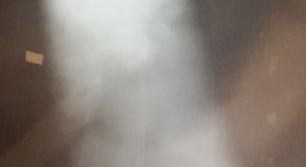 https://statics.cedscdn.it/photos/MED_HIGH/2026/06/27/9618049_poster.jpg