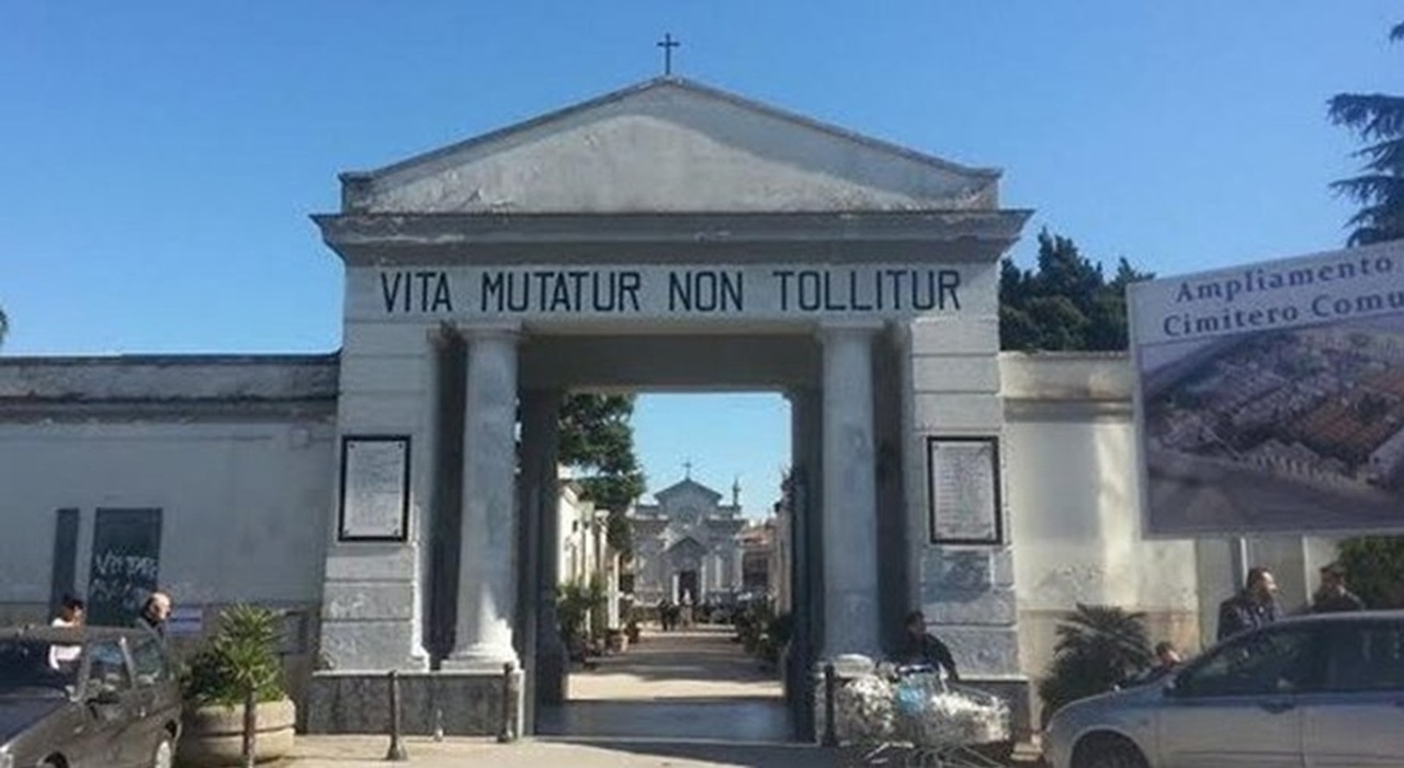 https://statics.cedscdn.it/photos/MED_HIGH/2026/06/28/9619758_28104756_melitt.jpg