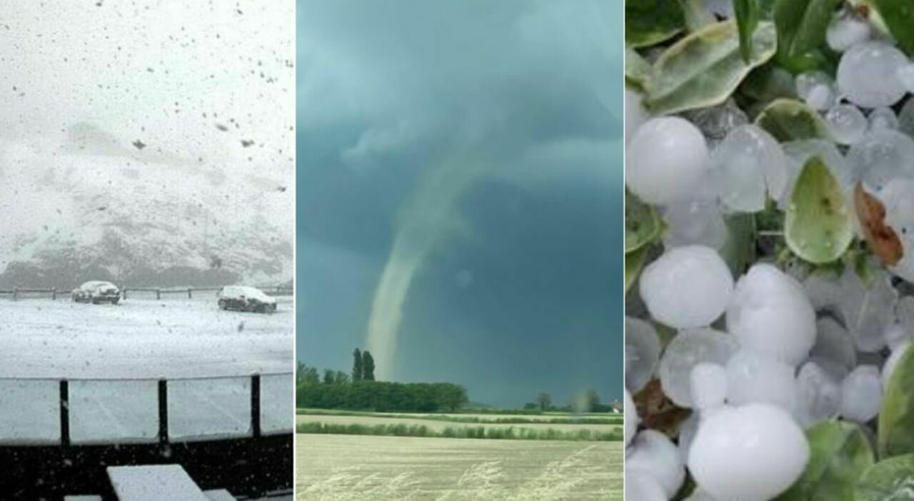 temporali violenti in tutto il veneto grandine neve allagamenti e alberi caduti da Ilgazzettino.it temporali violenti in tutto il veneto grandine neve allagamenti e alberi caduti