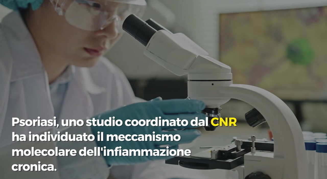 https://statics.cedscdn.it/photos/MED_HIGH/2026/07/01/9625461_poster.jpg