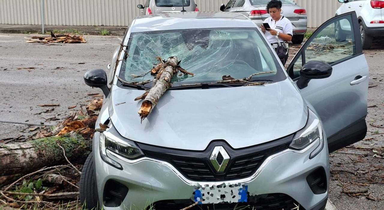maltempo sulle marche nubifragi e crollo delle temperature allagamenti e rami piombati sulle auto tutti gli aggiornamenti da Corriereadriatico.it maltempo sulle marche nubifragi e crollo delle temperature allagamenti e rami piombati sulle auto tutti gli aggiornamenti