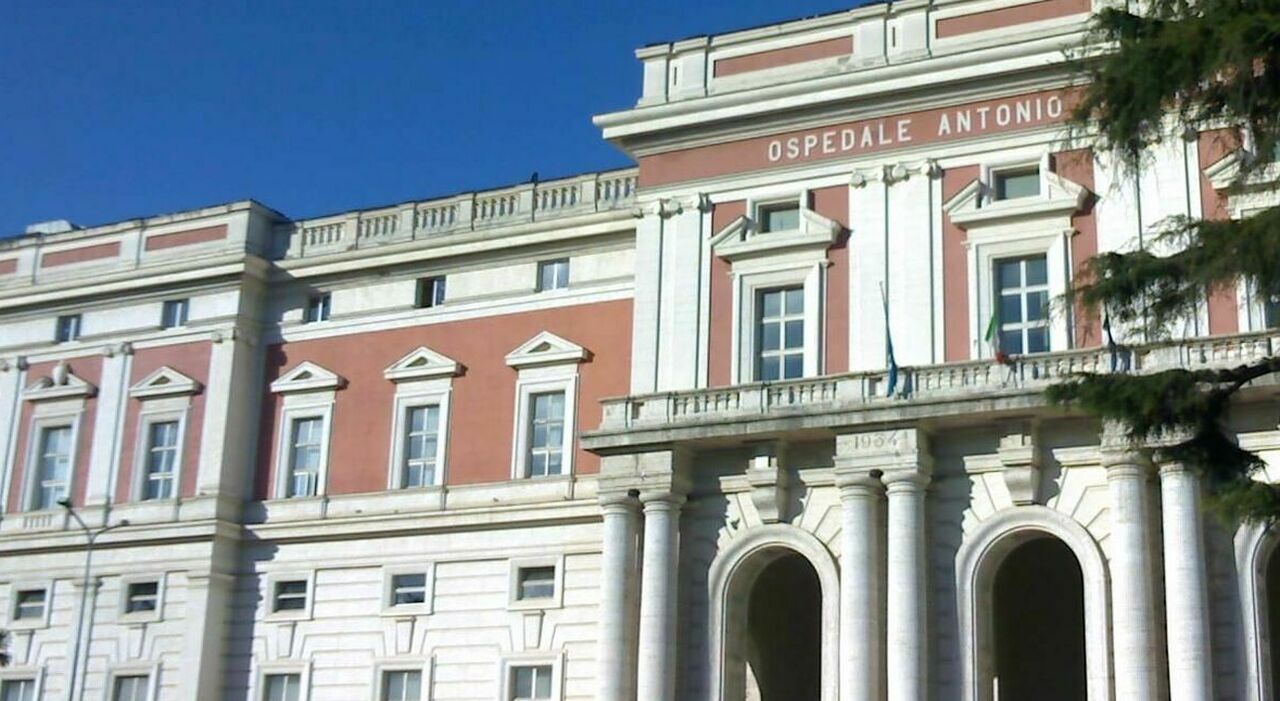 napoli al cardarelli sequestrata la salma di una 24enne operata cordoglio e accertamenti dell ospedale da Ilmattino.it napoli al cardarelli sequestrata la salma di una 24enne operata cordoglio e accertamenti dell ospedale