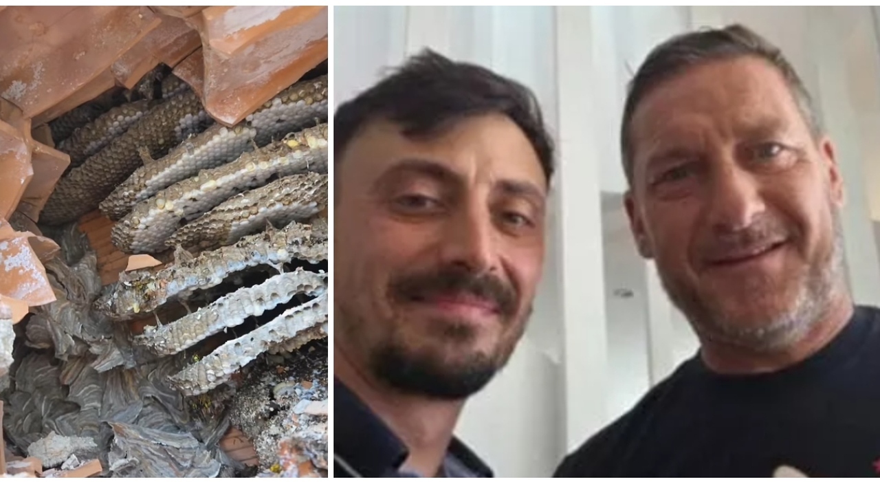 https://statics.cedscdn.it/photos/MED_HIGH/2026/07/02/9627791_02133033_totti_1_.jpg
