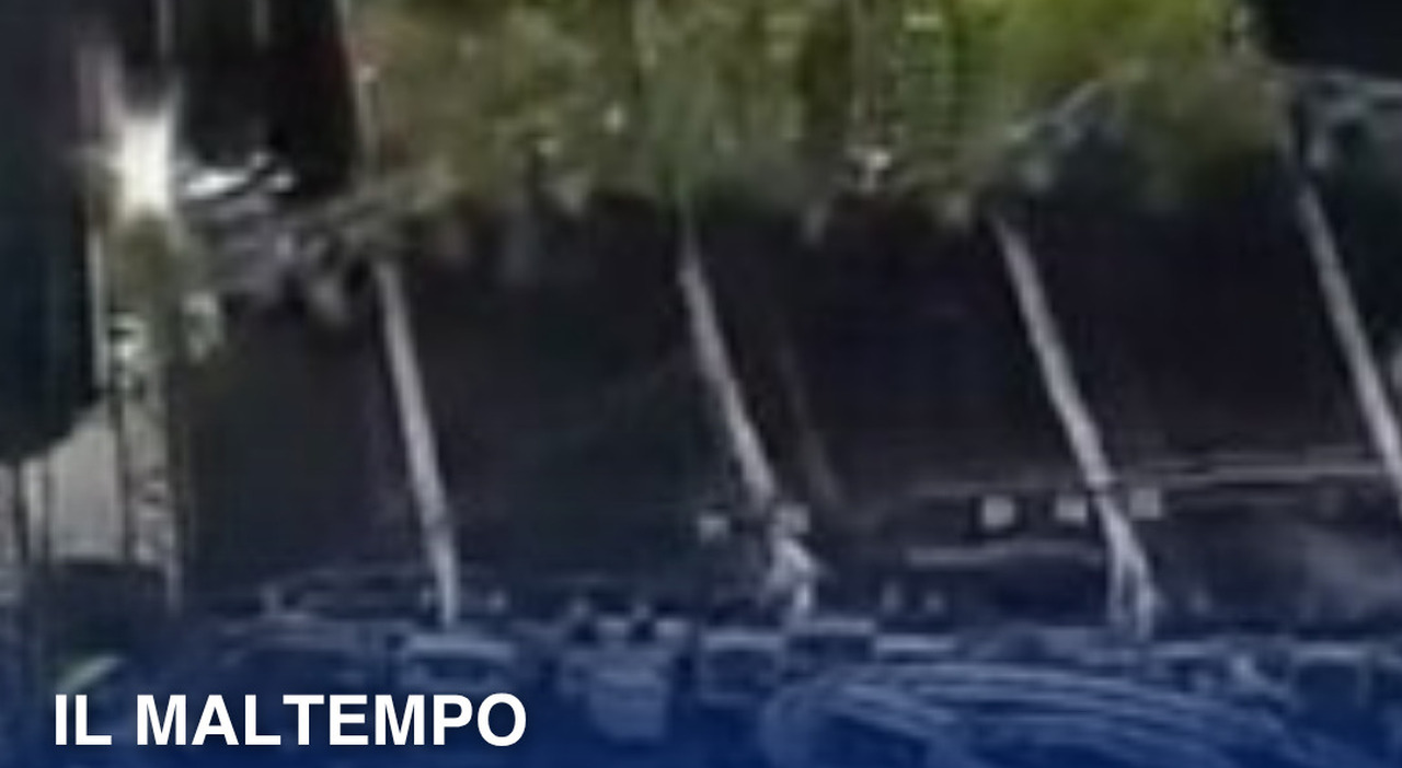 https://statics.cedscdn.it/photos/MED_HIGH/2026/07/03/9629844_03123156_copertina_reel_2025_72_.jpg
