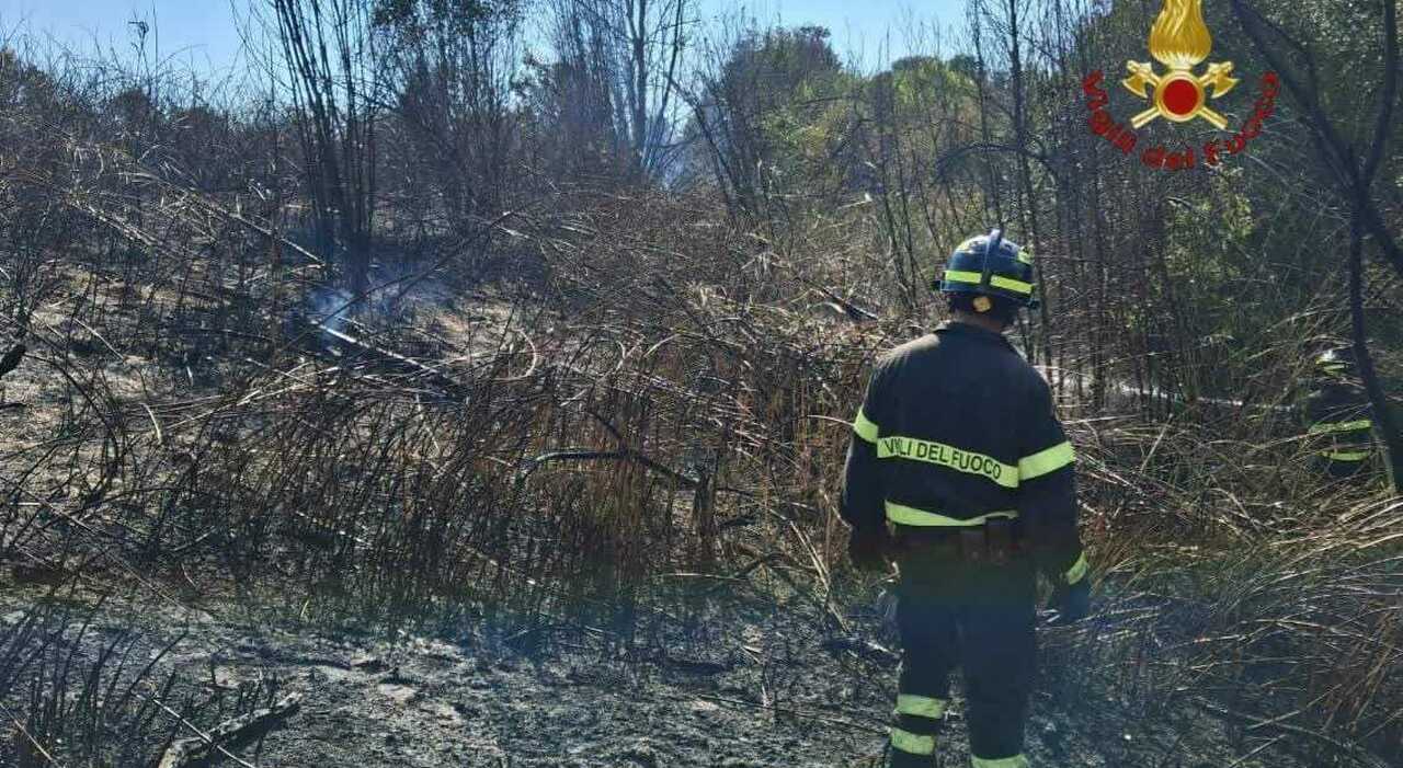incendi a roma in fiamme sterpaglie a pineta sacchetti nuvola di fumo invade valle aurelia brucia vegetazione al tuscolano da Ilmessaggero.it incendi a roma in fiamme sterpaglie a pineta sacchetti nuvola di fumo invade valle aurelia brucia vegetazione al tuscolano