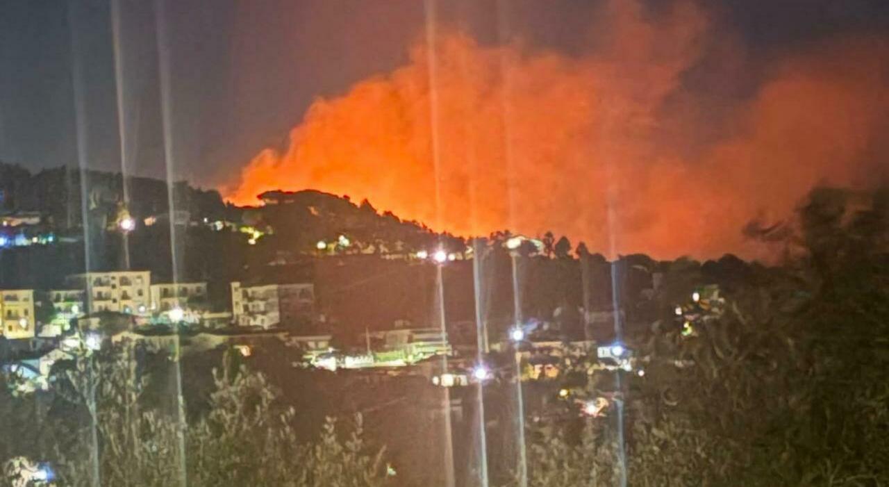 allarme in costiera frana sulla spiaggia e la pineta di le tore devastata da roghi da Ilmattino.it allarme in costiera frana sulla spiaggia e la pineta di le tore devastata da roghi