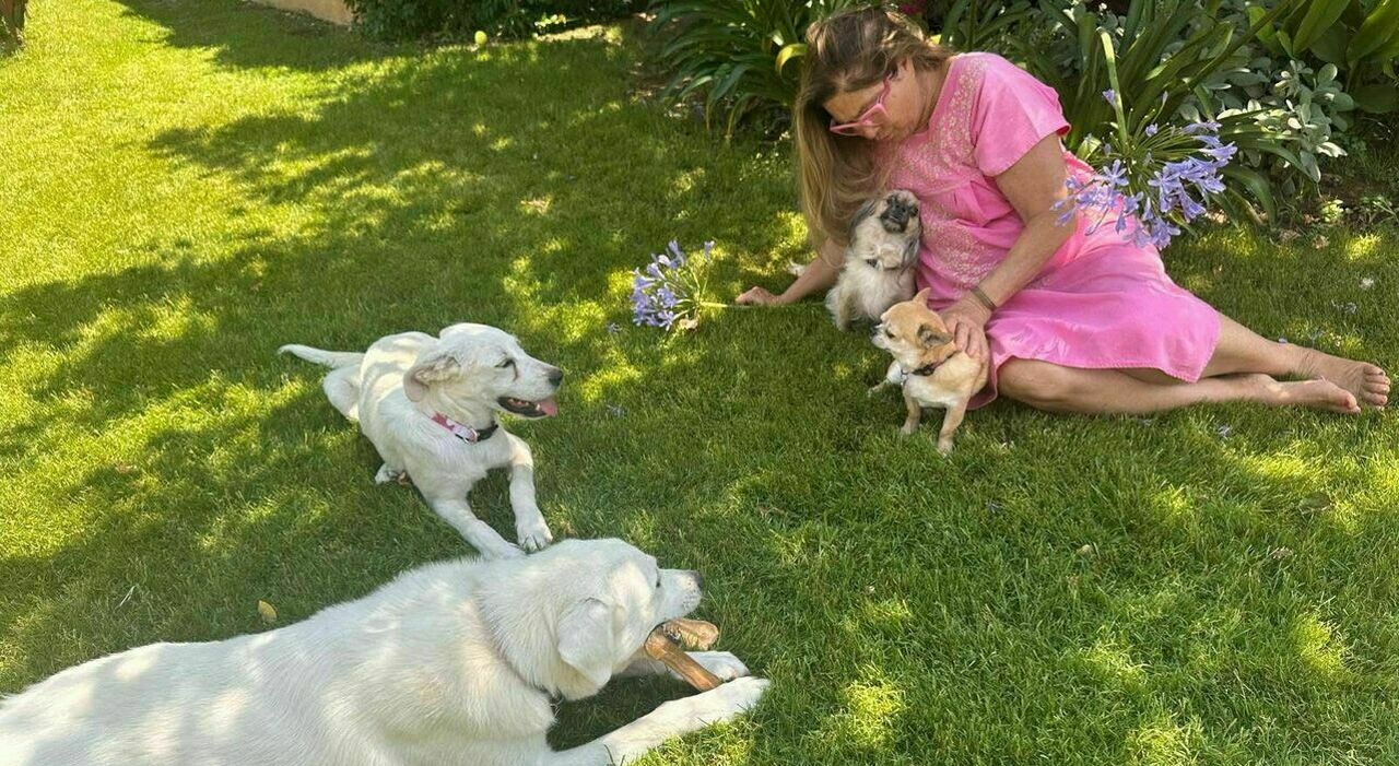 https://statics.cedscdn.it/photos/MED_HIGH/2026/07/06/9635361_06162439_romina_power_cani_adottari.jpg