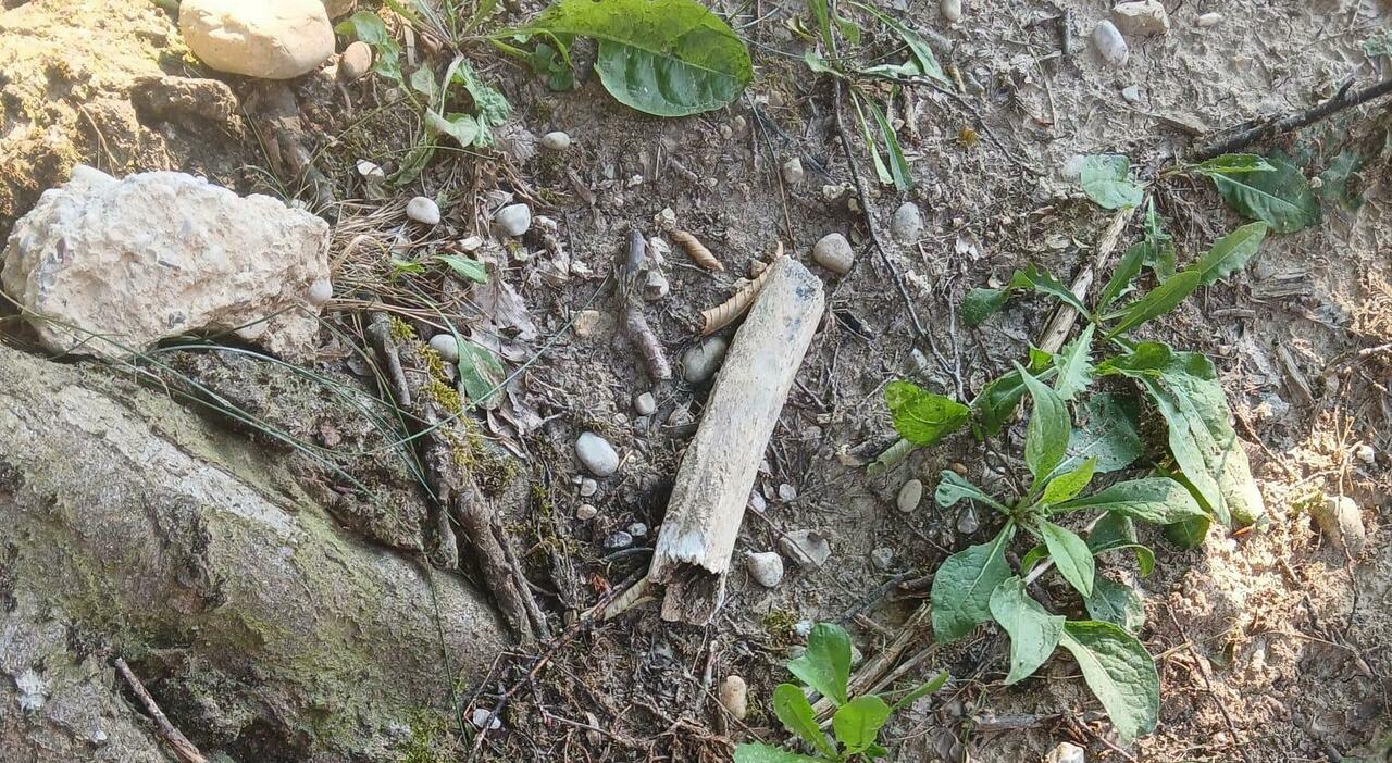 В Италии в деревенском кладбище обнаружили человеческую кость