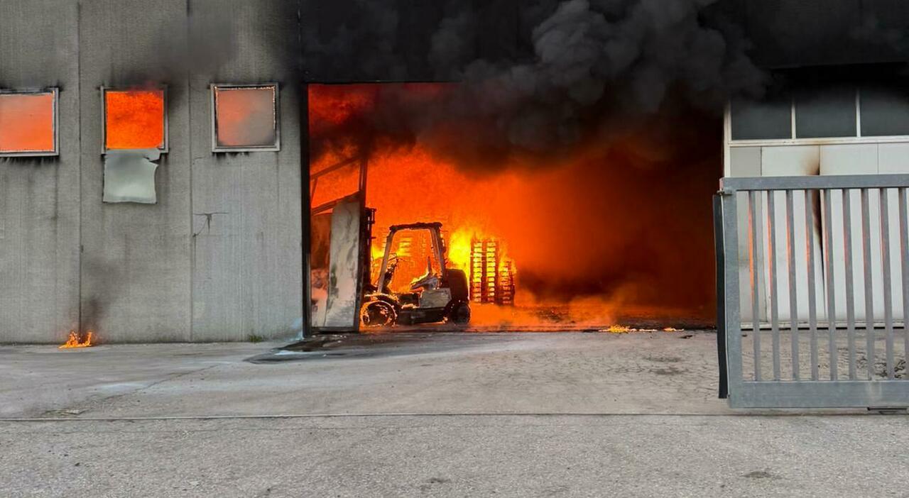 incendio nell azienda di pellet muletti e serbatoi in fiamme palestra evacuata lotta con il fuoco per tutta la notte capannone distrutto da Ilgazzettino.it incendio nell azienda di pellet muletti e serbatoi in fiamme palestra evacuata lotta con il fuoco per tutta la notte capannone distrutto