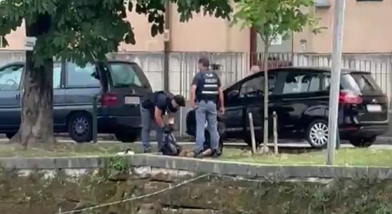 https://statics.cedscdn.it/photos/MED_HIGH/2026/07/08/9639479_08154429_ragazzo_tuffo_sile_salvato_poliziotti_cosa_e_successo.jpg