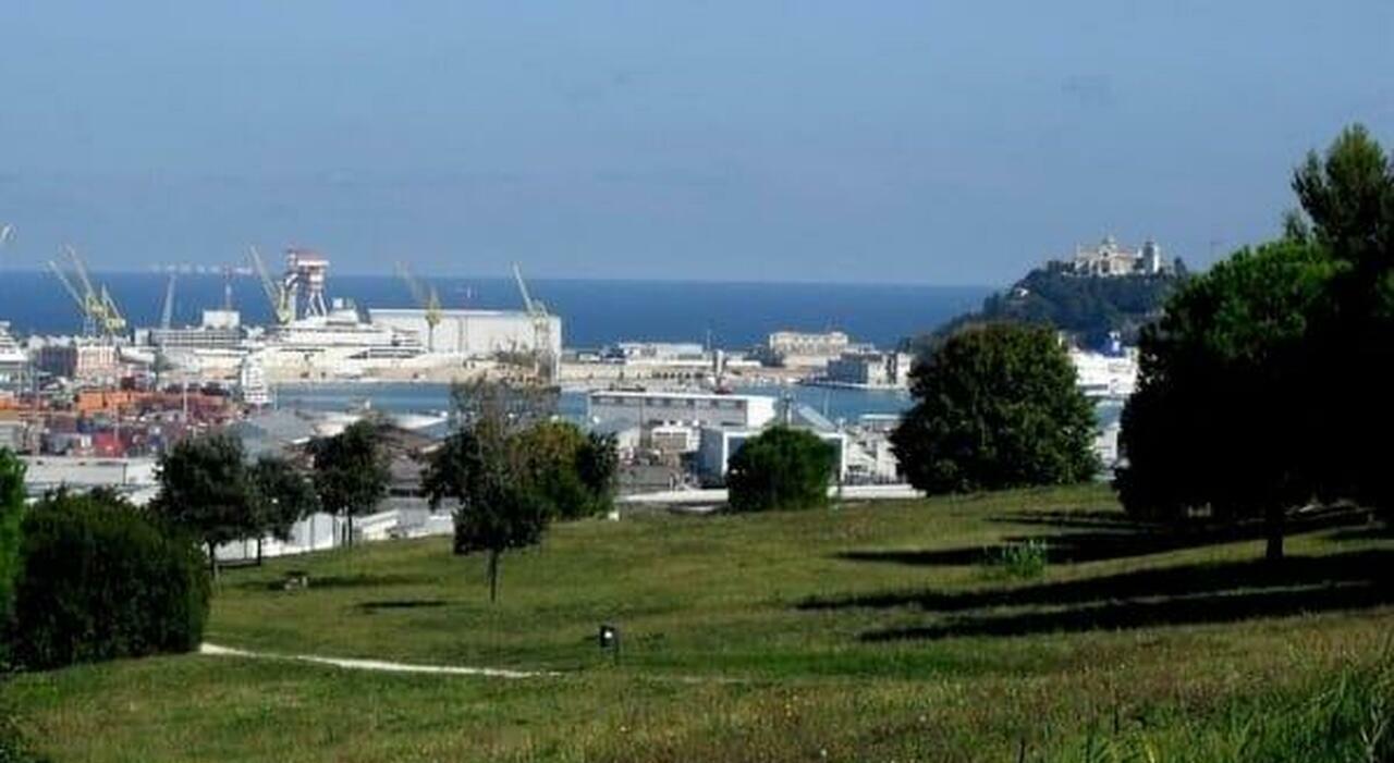 ancona coppia si apparta al parco arrivano due lupi il maschio ci ha fissato per alcuni secondi da Corriereadriatico.it ancona coppia si apparta al parco arrivano due lupi il maschio ci ha fissato per alcuni secondi