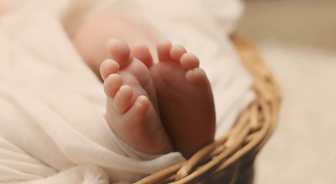 neonata morta dopo il parto in casa l autopsia conferma che la piccola era giunta gi224 priva di vita in ospedale da Ilgazzettino.it neonata morta dopo il parto in casa l autopsia conferma che la piccola era giunta gi224 priva di vita in ospedale