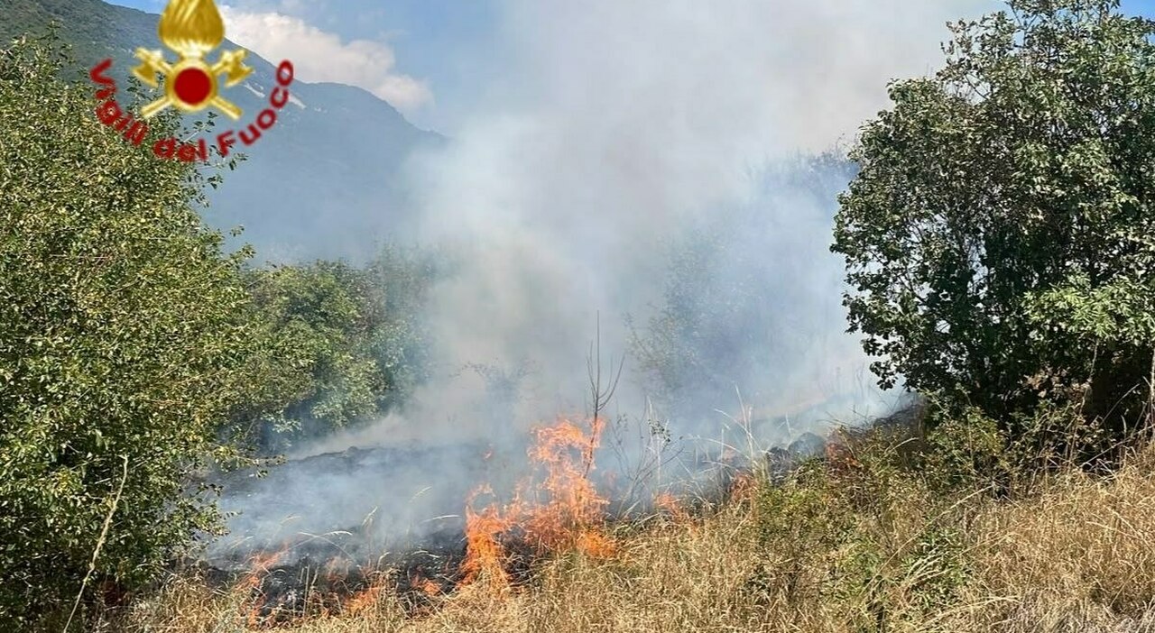 https://statics.cedscdn.it/photos/MED_HIGH/2026/07/09/9641803_09184242_incendio_bosco_valpolicella.jpg