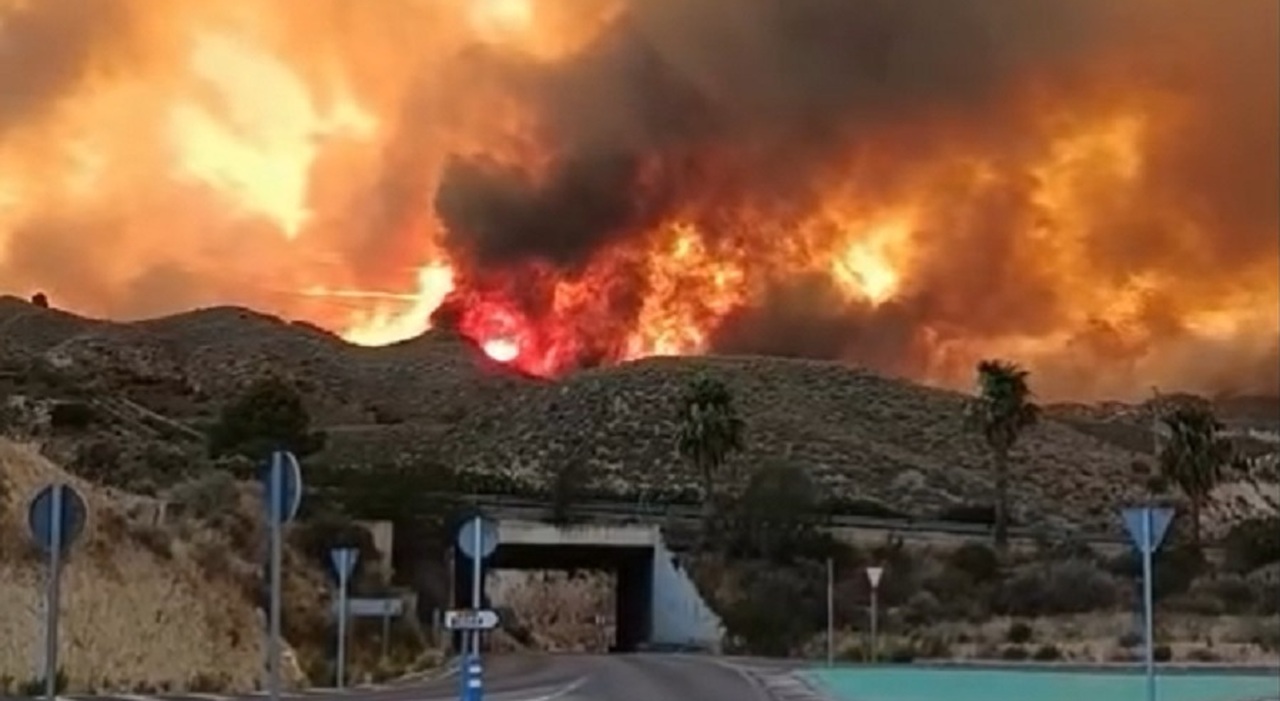 https://statics.cedscdn.it/photos/MED_HIGH/2026/07/10/9643194_10073945_incendio_spagna.jpg