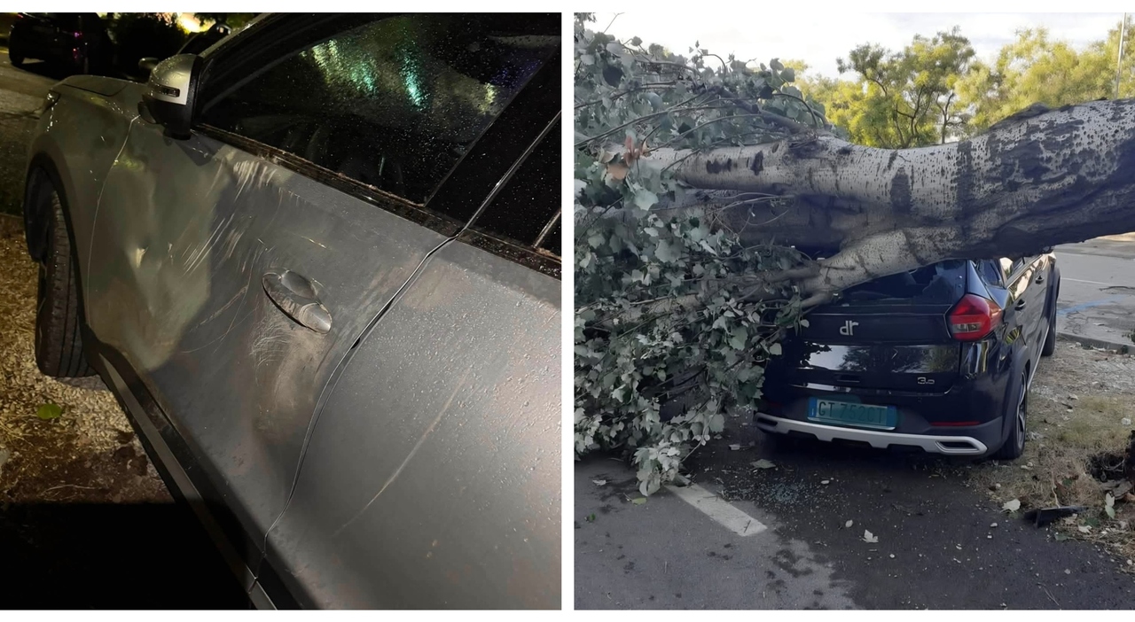 raffiche di vento pioggia e tuoni blackout e auto schiacciate dagli alberi sradicati tra pesaro e fano notte da paura per l ex sottosegretaria puglisi le foto da Corriereadriatico.it raffiche di vento pioggia e tuoni blackout e auto schiacciate dagli alberi sradicati tra pesaro e fano notte da paura per l ex sottosegretaria puglisi le foto