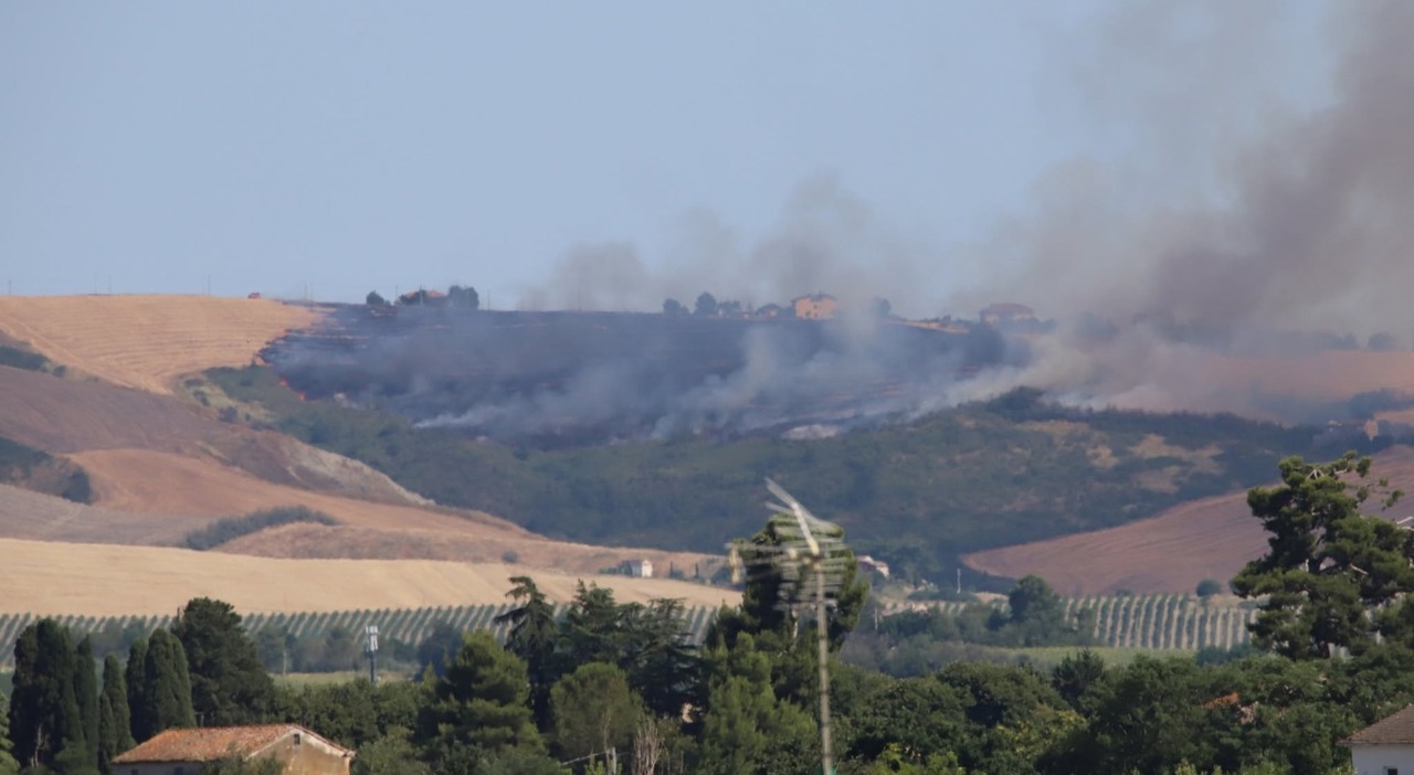 coste di staffolo vasto incendio in azione i vigili di jesi la squadra boschiva di macerata e i volontari di apiro abitazioni da proteggere da Corriereadriatico.it coste di staffolo vasto incendio in azione i vigili di jesi la squadra boschiva di macerata e i volontari di apiro abitazioni da proteggere
