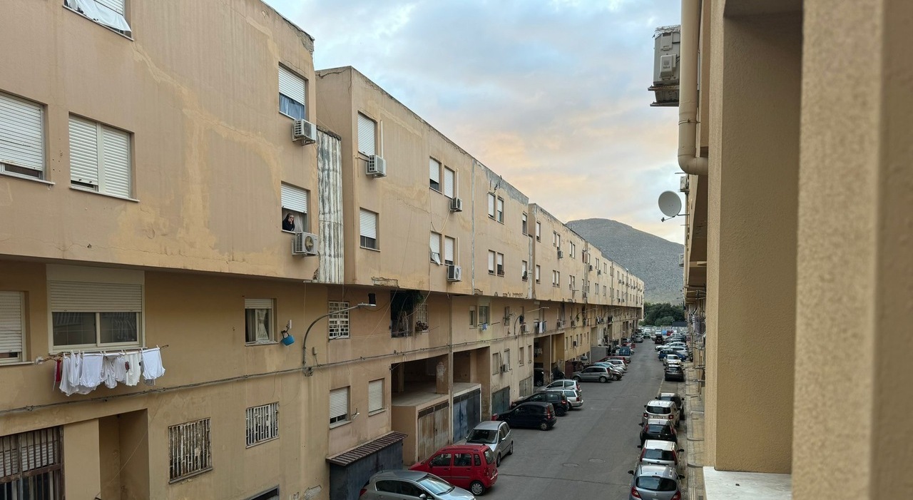 https://statics.cedscdn.it/photos/MED_HIGH/2026/07/13/9648427_13092744_zen_a_palermo_24165629.jpg