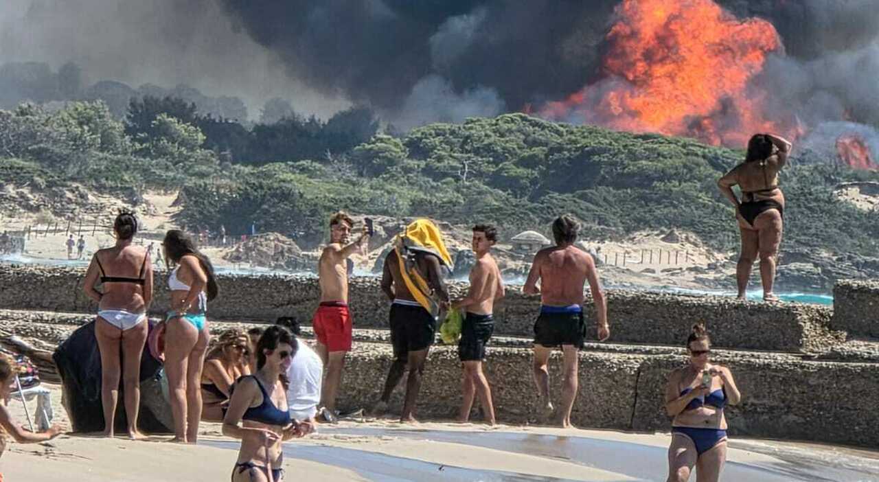 gallipoli incendio a punta pizzo fiamme a ridosso della spiaggia paura tra i bagnanti video da Quotidianodipuglia.it gallipoli incendio a punta pizzo fiamme a ridosso della spiaggia paura tra i bagnanti video