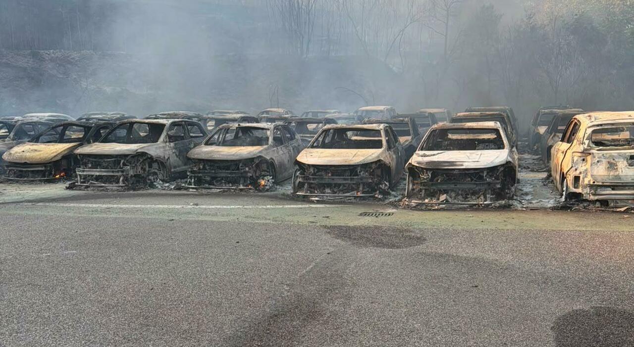 incendio ad agnano distrutta una concessionaria ferita profonda danni irrimediabili da Ilmattino.it incendio ad agnano distrutta una concessionaria ferita profonda danni irrimediabili