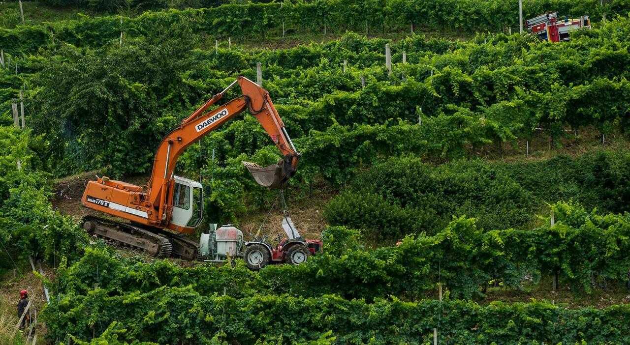 agricoltore travolto dal trattore mentre lavora nel vigneto muore a 62 anni da Ilgazzettino.it agricoltore travolto dal trattore mentre lavora nel vigneto muore a 62 anni