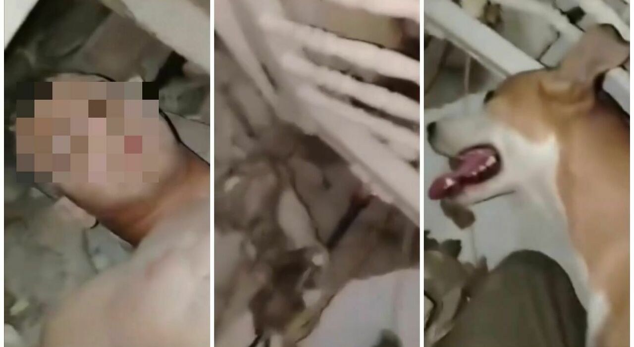 https://statics.cedscdn.it/photos/MED_HIGH/2026/07/14/9650633_14121208_bimbo_salvato_cane_macerie_terremoto_venezuela_censored.jpg
