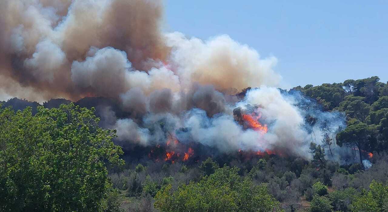 incendio a ruffano fiamme alla madonna della serra nel salento evacuate alcune abitazioni da Quotidianodipuglia.it incendio a ruffano fiamme alla madonna della serra nel salento evacuate alcune abitazioni