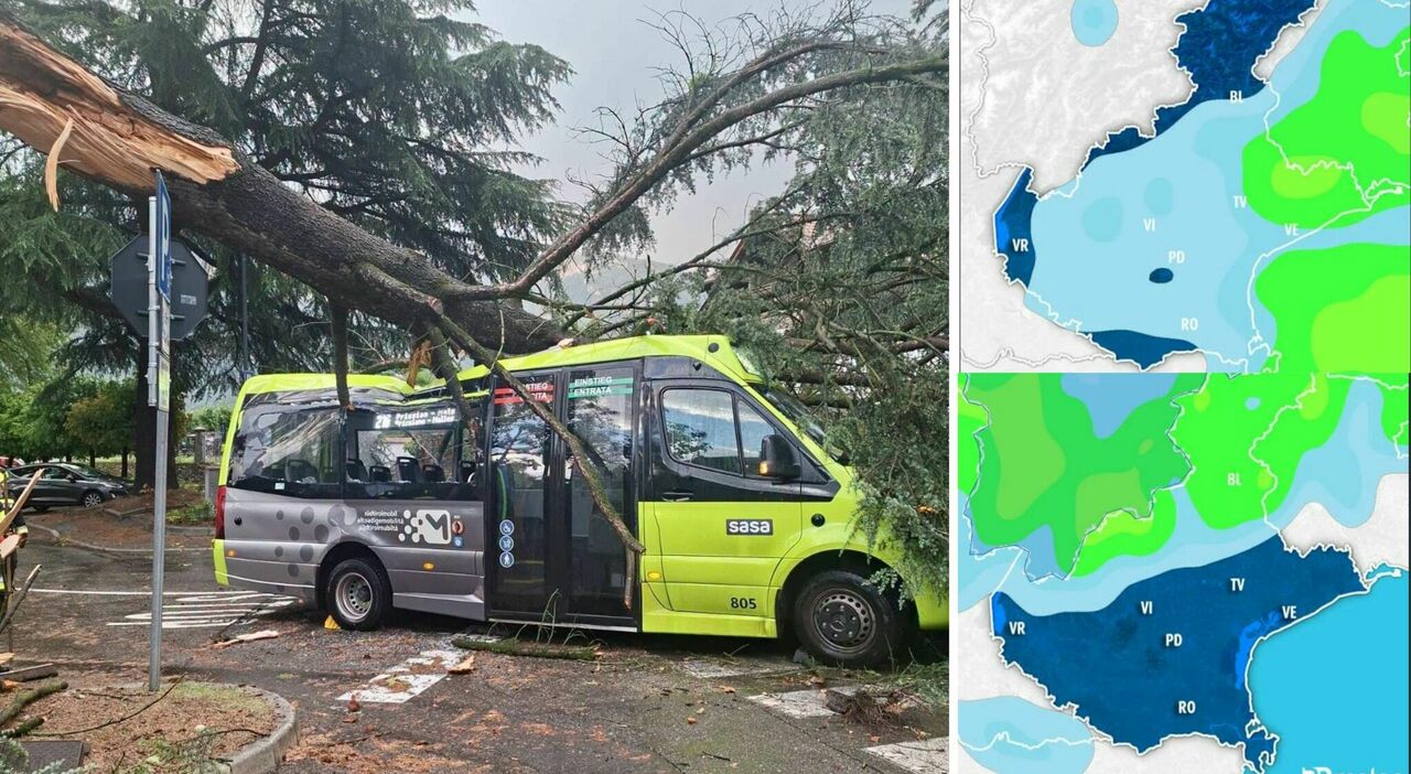 temporali che sradicano alberi tempeste di fulmini dopo la terza ondata di calore il maltempo 232 arrivato a nordest alert rosso di arpav da Ilgazzettino.it temporali che sradicano alberi tempeste di fulmini dopo la terza ondata di calore il maltempo 232 arrivato a nordest alert rosso di arpav