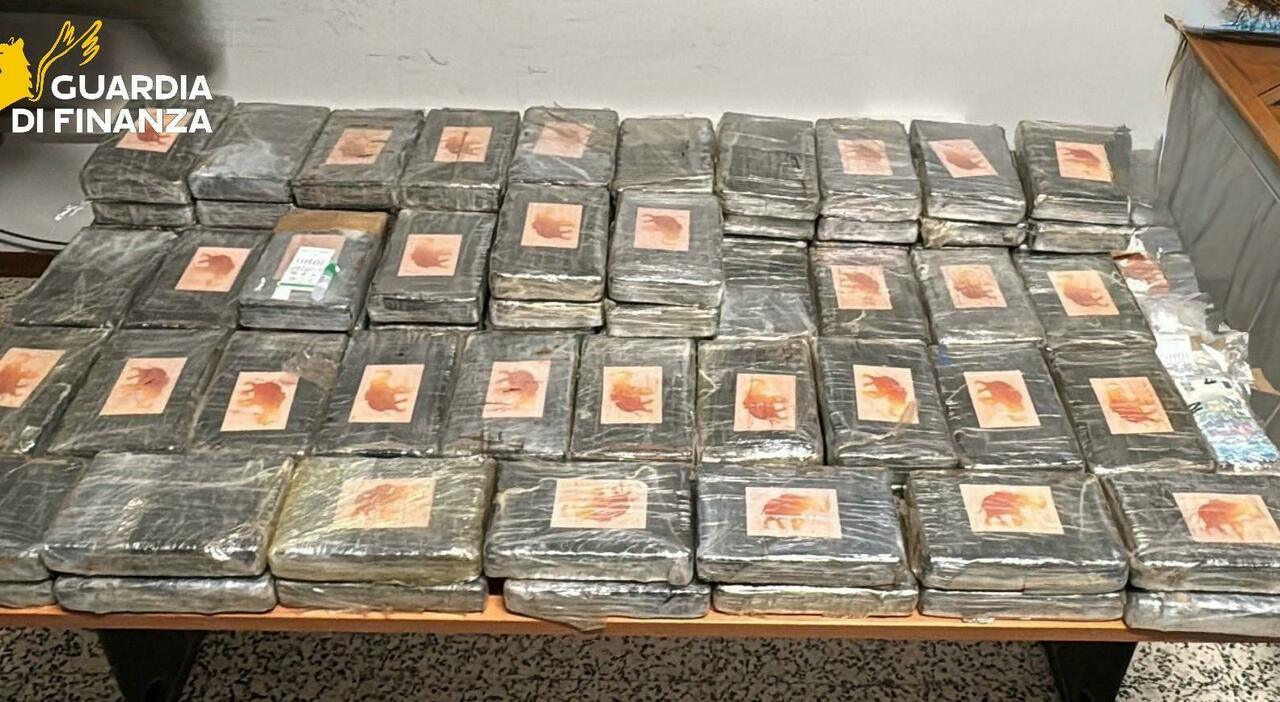 oltre 100 chili di cocaina nascosti nel doppiofondo di un tir tre aresti ad ancona la droga avrebbe fruttato 20 milioni di euro da Corriereadriatico.it oltre 100 chili di cocaina nascosti nel doppiofondo di un tir tre aresti ad ancona la droga avrebbe fruttato 20 milioni di euro