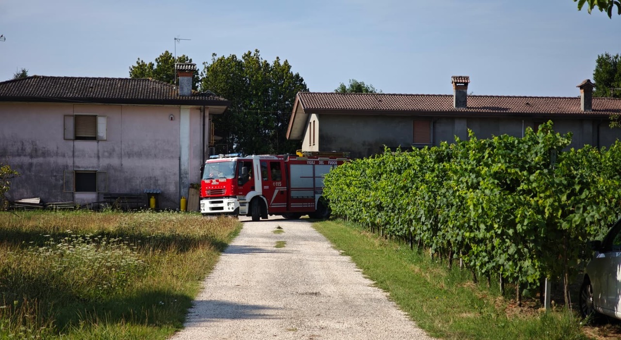scivola nel vallio ivano mirtillo annega aveva 73 anni la scoperta fatta dalla figlia allertata dalla madre da Ilgazzettino.it scivola nel vallio ivano mirtillo annega aveva 73 anni la scoperta fatta dalla figlia allertata dalla madre