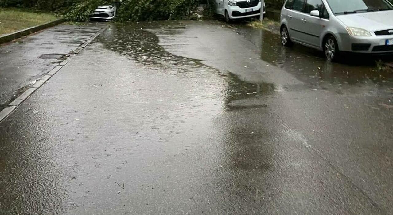https://statics.cedscdn.it/photos/MED_HIGH/2026/07/15/9653291_15202252_morto_nubifragio_bomporto_modena.jpg