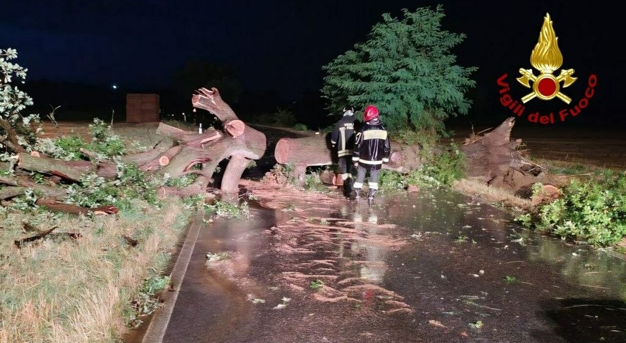 vento pioggia e grandine vigili del fuoco al lavoro in tutte le marche danni all agricoltura e alberi caduti da Corriereadriatico.it vento pioggia e grandine vigili del fuoco al lavoro in tutte le marche danni all agricoltura e alberi caduti