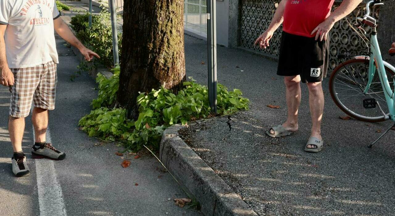 ciclista 16enne si schianta contro un albero durante la gara regionale degli allievi trasportata in ospedale 200 grave da Ilgazzettino.it ciclista 16enne si schianta contro un albero durante la gara regionale degli allievi trasportata in ospedale 200 grave