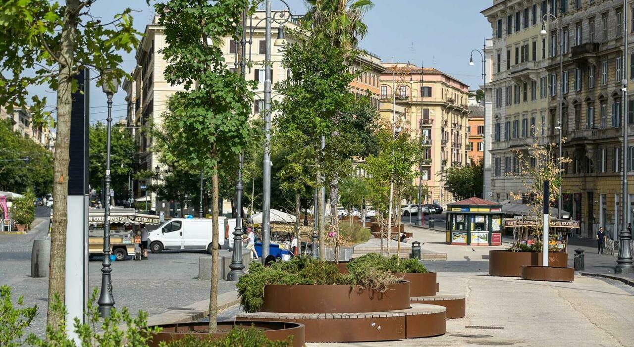 micro boschi a roma per combattere il caldo cos236 il comune vuole ridurre le temperature fino a 4 gradi da Ilmessaggero.it micro boschi a roma per combattere il caldo cos236 il comune vuole ridurre le temperature fino a 4 gradi