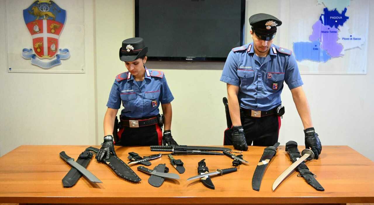 irrompe dai vicini armato di katana per dare la caccia a due ragazzine avevano suonato per sbaglio il suo campanello in casa ha un arsenale di armi da Ilgazzettino.it irrompe dai vicini armato di katana per dare la caccia a due ragazzine avevano suonato per sbaglio il suo campanello in casa ha un arsenale di armi