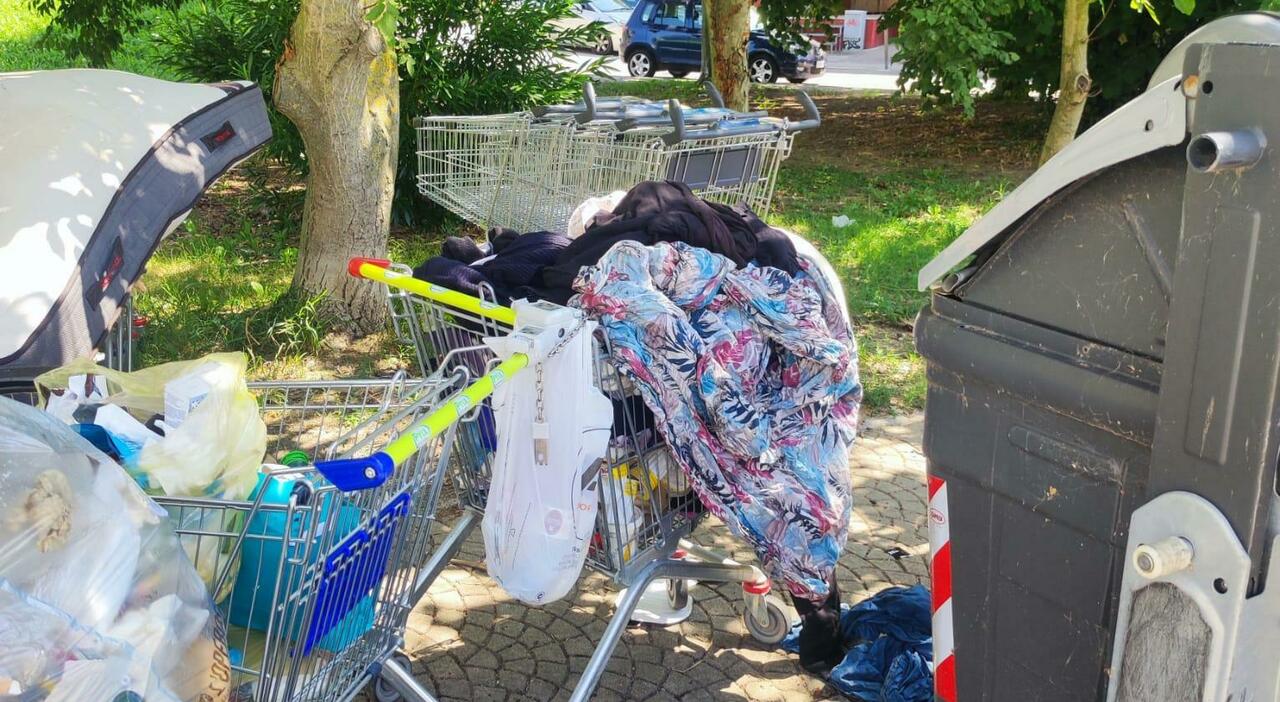 carrelli dei supermercati rubati per trasportare spazzatura i residenti del circus odore insopportabile non riusciamo neanche a passare da Ilgazzettino.it carrelli dei supermercati rubati per trasportare spazzatura i residenti del circus odore insopportabile non riusciamo neanche a passare