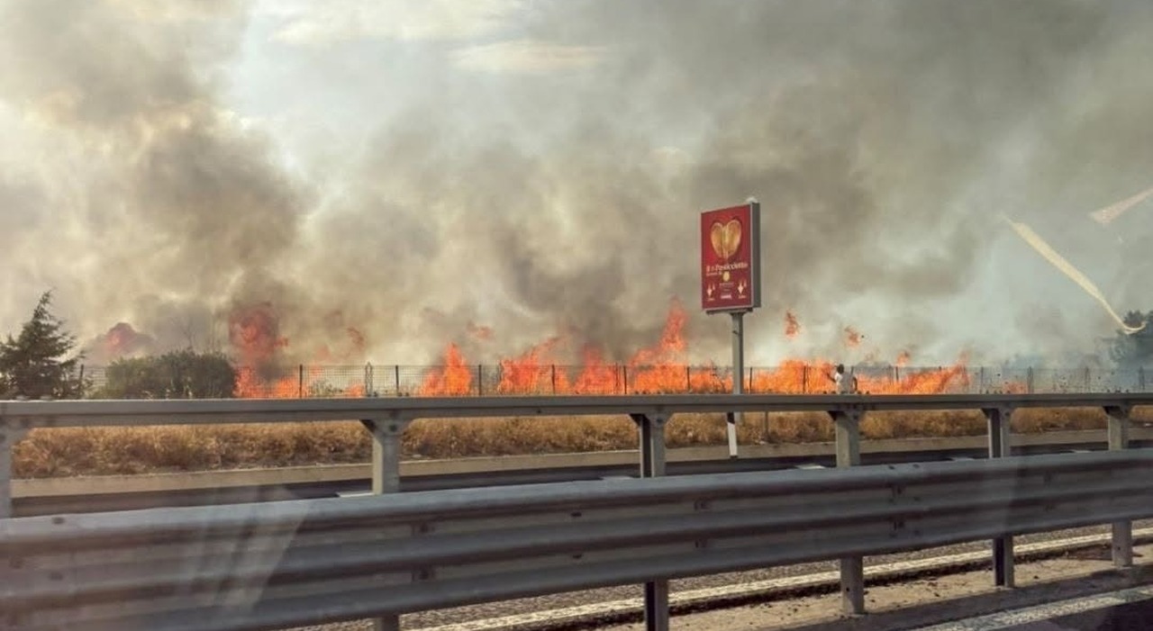 maxi incendio sull alta murgia le fiamme nel parco nazionale da Quotidianodipuglia.it maxi incendio sull alta murgia le fiamme nel parco nazionale