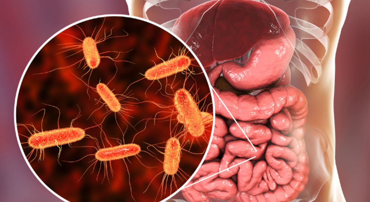 https://statics.cedscdn.it/photos/MED_HIGH/2026/07/23/9668409_23155907_clostridium_difficile_cosa_e_sintomi_pericolo_bambini.jpg